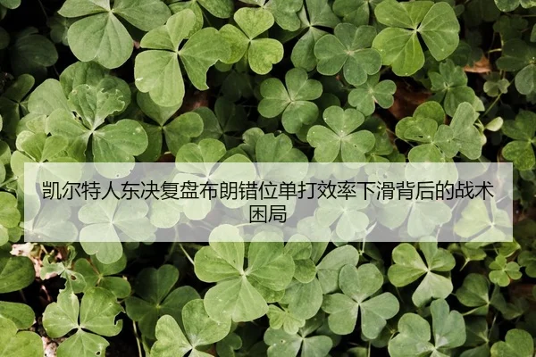 凯尔特人东决复盘布朗错位单打效率下滑背后的战术困局（BET Official）